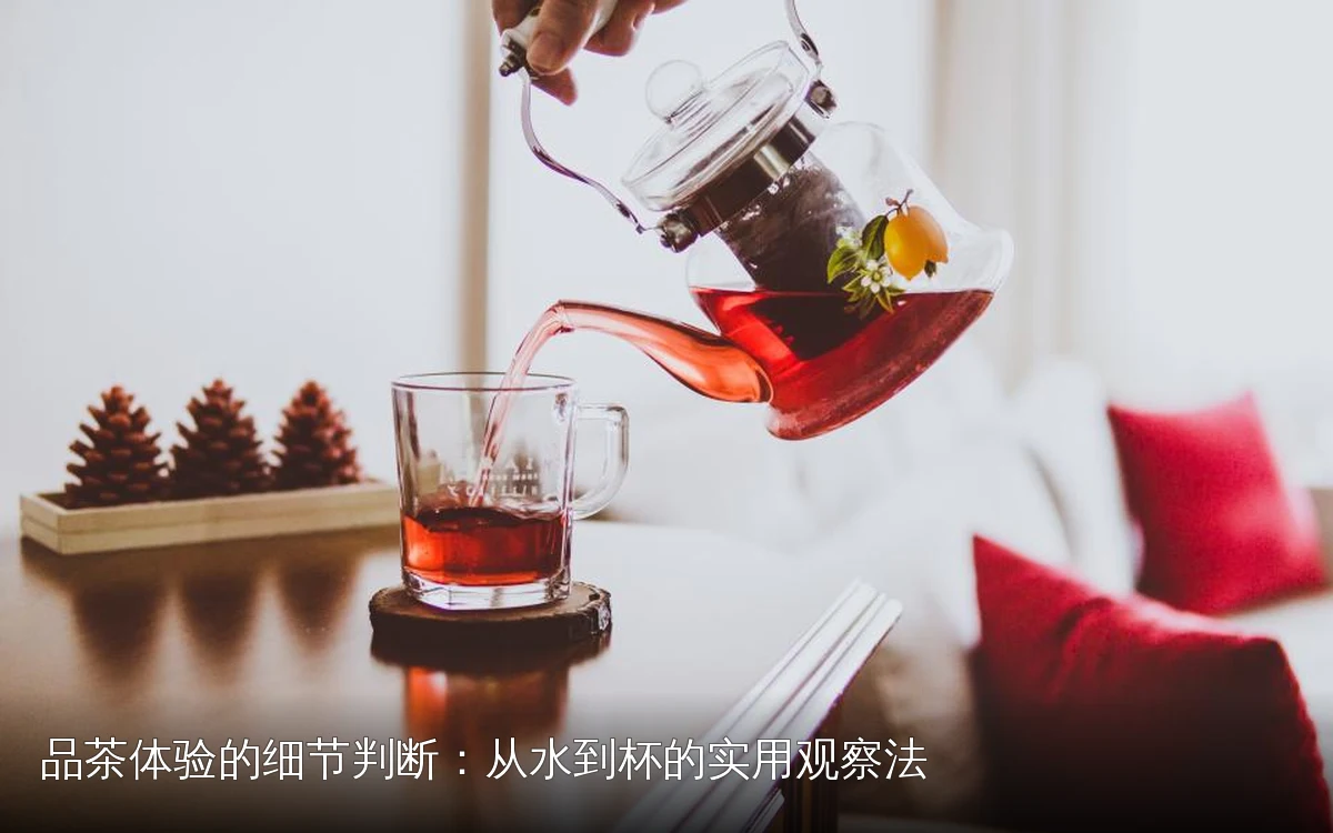 品茶体验的细节判断:从水到杯的实用观察法